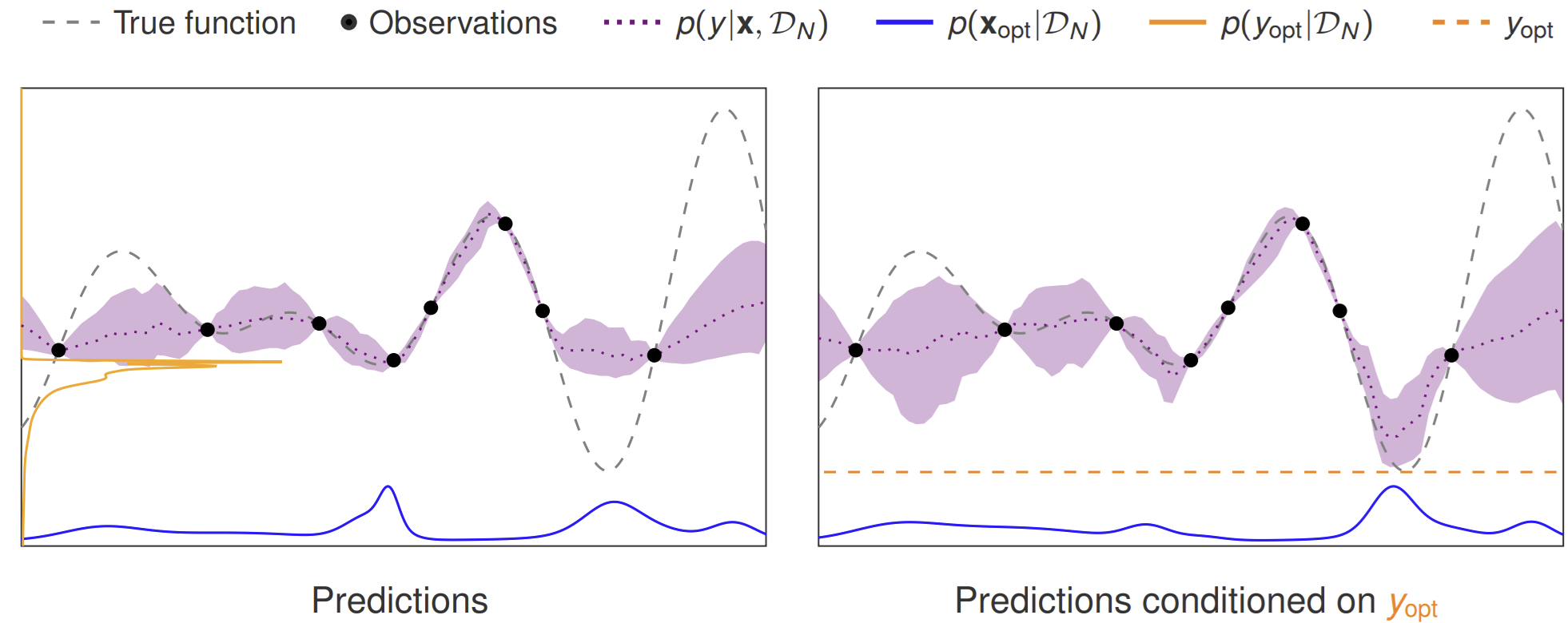 ACE predicting the optimum location and value in Bayesian Optimization.